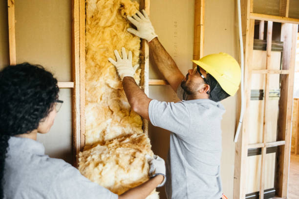 Best Wall Insulation Installation  in Mcmechen, WV